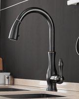AquaFlex – Zilveren Uitschuifbare Keukenkraan met 360° Draaibare Uitloop