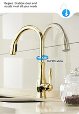 AquaFlex – Zilveren Uitschuifbare Keukenkraan met 360° Draaibare Uitloop