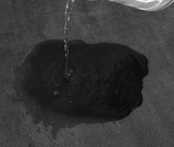 AquaVelours Super Absorberende Badmat – Ultra Antislip Deurmat van Koraalfluweel