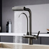 Messing Keukenkraan met Gefilterde Uitloop | Enkel Handvat | Geborsteld