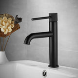 Zwarte Wastafelkraan | Messing | Enkele Handgreep – Modern & Elegant