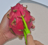 AvoMaster 3-in-1 Avocadosnijder