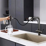 Messing Keukenkraan met Gefilterde Uitloop | Enkel Handvat | Geborsteld